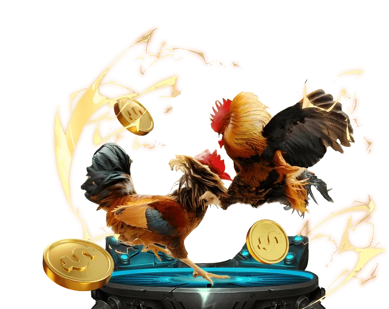 Chọn nhà cái uy tín 666 win